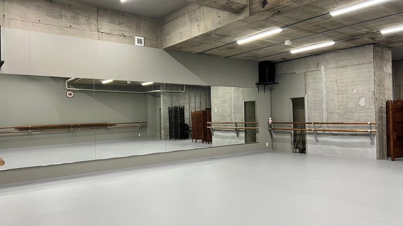 Jardin des arts（バレエ団芸術座静岡スタジオ） - Jardin des arts（バレエ団芸術座静岡スタジオ）