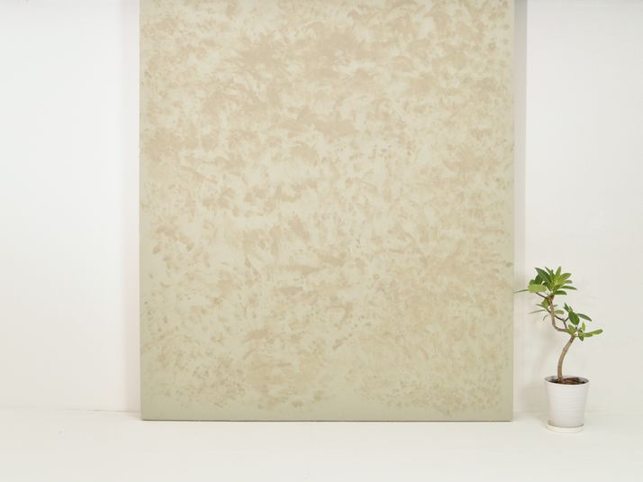 Studio ZONA 白ホリゾント撮影スタジオ - Studio ZONA