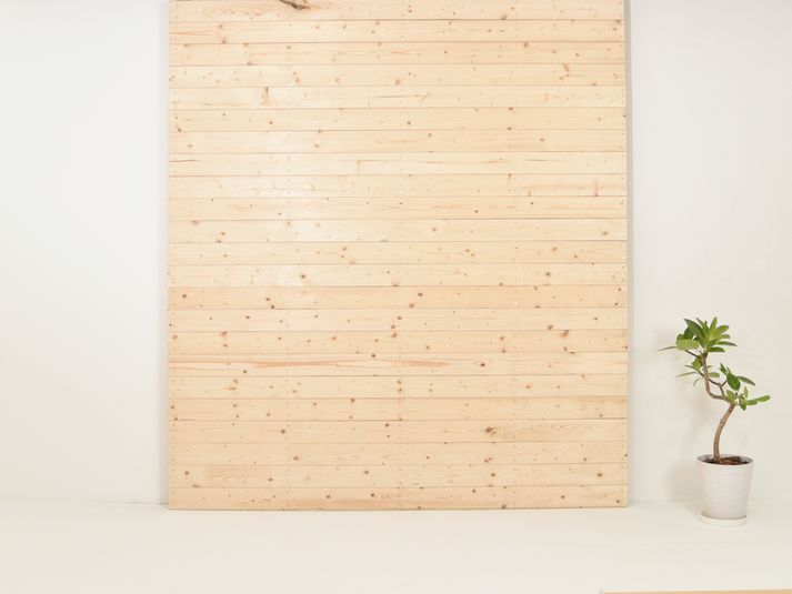 Studio ZONA 白ホリゾント撮影スタジオ - Studio ZONA