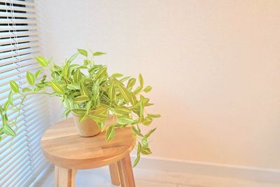 貸切サロン/南青山Lua - レンタルサロン【南青山Lua】 【南青山Lua】完全貸切の隠れ家プライベート空間/個室型サロンの設備の写真