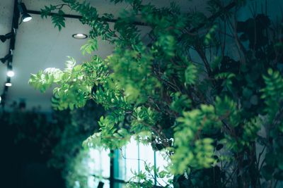 394_The ARCHIVE Cafe&Bar レンタルスペースの室内の写真