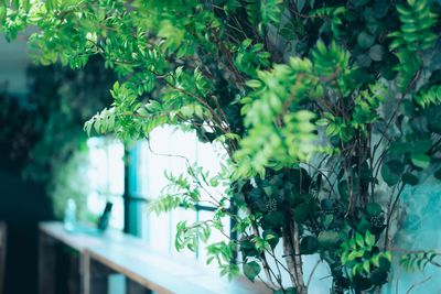 394_The ARCHIVE Cafe&Bar レンタルスペースの室内の写真