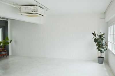 ニュアンスのある白塗壁 - FIVE STUDIOの室内の写真