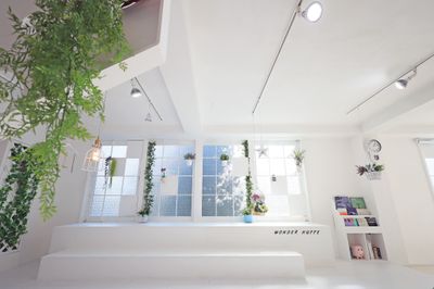 大きな窓からは自然光が降り注ぎます。 - Wonder Hutte｜家族やグループで使いやすい撮影スタジオ 📸清潔で明るくどなたにも安心して使っていただける撮影空間ですの室内の写真
