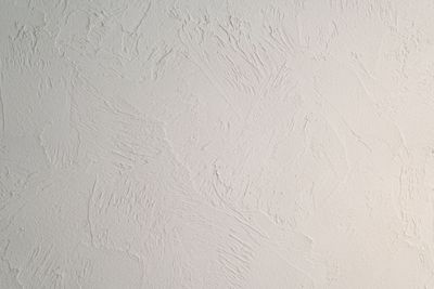 空気清浄効果のあるシラス壁 - Room Therapis　ルームセラピス レンタルサロン（ルーム B）の室内の写真