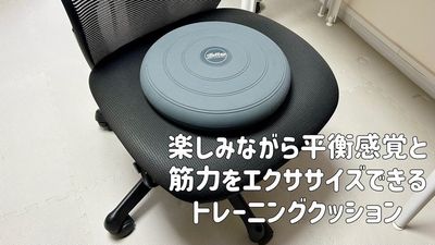 バランスボール的なやつです。座りっぱなしで疲れたら！ - タネマキ201 レンタルスペースの設備の写真
