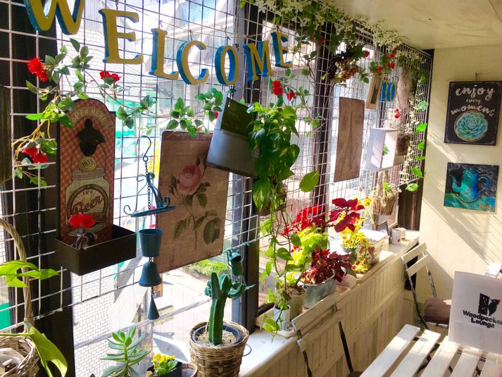 イベントスペース - ウッドペッカーラウンジ