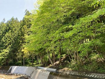 NOKI_RIVER_BASEのその他の写真