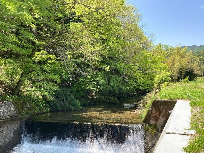 初夏の様子 - NOKI_RIVER_BASEの室内の写真