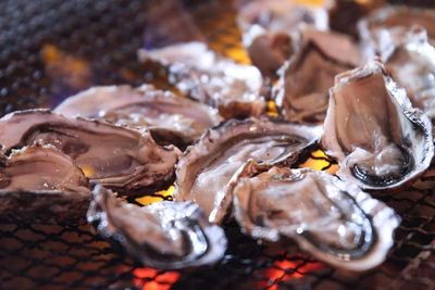 焼き牡蠣は１１月半ばから４月いっぱい受け付けております。 - イルコルティーレ バンケットルームのその他の写真