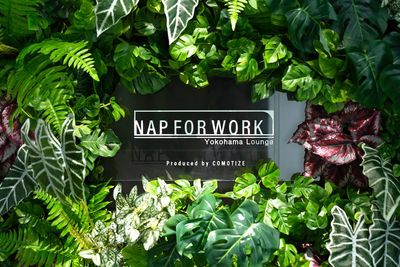 NAP FOR WORK（ナップフォーワーク） フォンブース（防音ブース）のみ ※ブラックのブースですの入口の写真