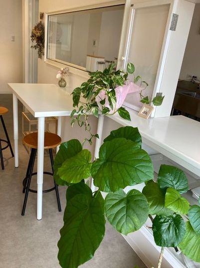 Sunny Goose Kitchen - Sunny Goose Kitchen