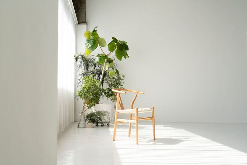 レンタル撮影スタジオ LUZZ STUDIO（ラズスタジオ） - LUZZSTUDIOラズスタジオ