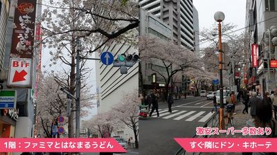 風通しバツグン中野駅レンタルスペース 《中野駅徒歩2分》風通し抜群！ファン付き照明｜開放感ある明るいの室内の写真