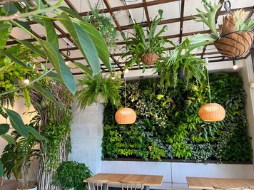 天井からも植物が吊り下げられて、立体感のあるグリーンの景色に。 - GREEN＆CAFE（グリーンアンドカフェ） 緑がたくさんの多目的スペースの室内の写真