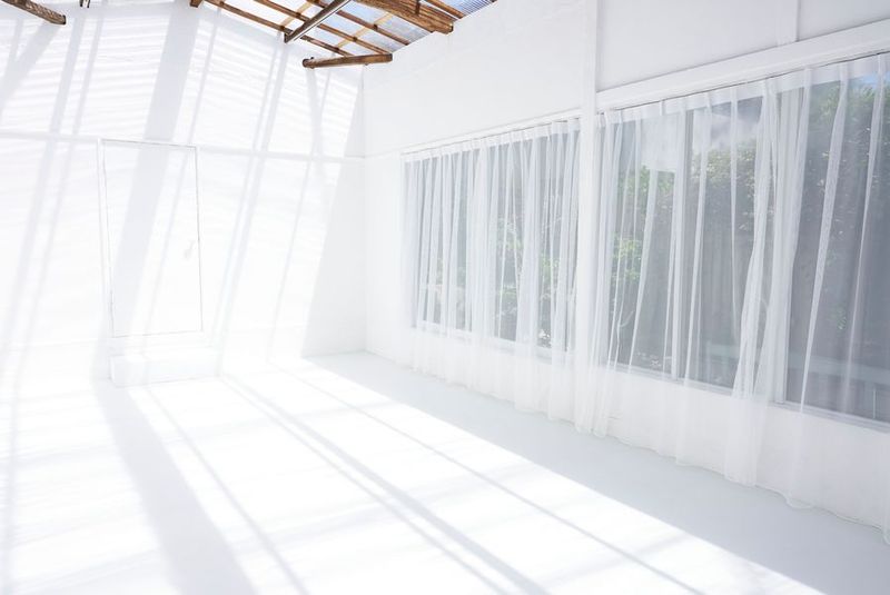 白モルタル床と白壁のお部屋。
屋根が透明になり、天高も増えました（3.5m） - 下北沢の一軒家　スタジオレナード スタジオレナード　スチール撮影の室内の写真
