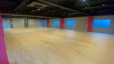 鏡、音響、バレエバー、ダンス用フローリング、光WIFI　完備しています。約80㎡の広さのスタジオです。 - MDSビル（MDS_BLDG）