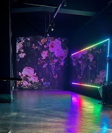 RENTAL STUDIO　HAQRYU アレクサ対応！少人数ダンスレッスン・撮影 [KIRINroom]の室内の写真