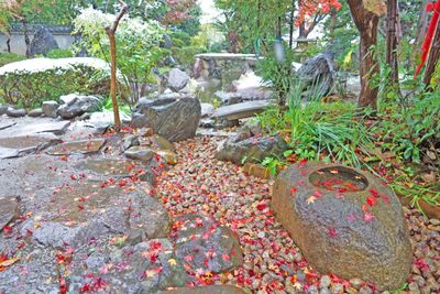 飯田屋 古民家と日本庭園『飯田屋』の外観の写真