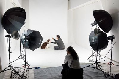 ペット撮影風景 - 有限会社水谷スタジオ 本格白ホリゾント天井高６m写真＆動画撮影スタジオの室内の写真