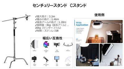 都内の白ホリ自然光 撮影スタジオ 白壁×アーチ×植物×ブランコ｜感情を引き出す光のスタジオの設備の写真