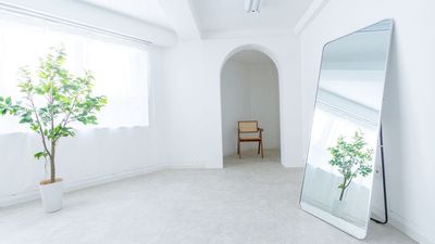 都内の白ホリ自然光 撮影スタジオ 白壁×アーチ×植物×ブランコ｜感情を引き出す光のスタジオの室内の写真