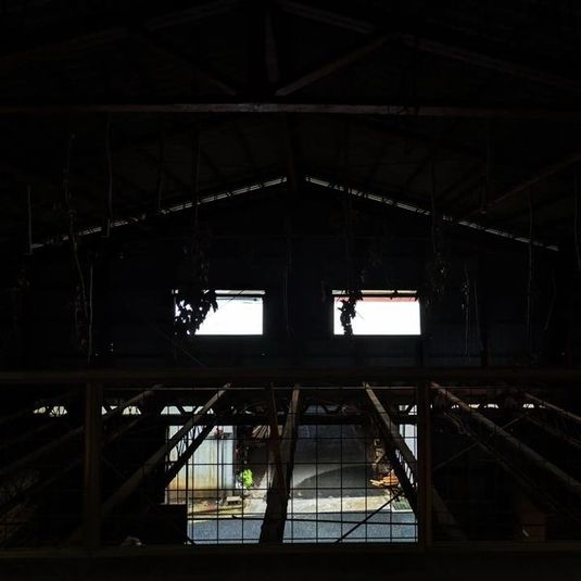 レトロなスペース - タリモール