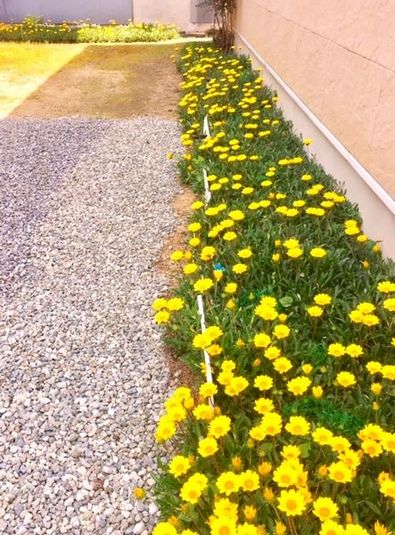 キッチンカースペース:￥1200/1時間及び￥1800/１時間 - キッチンカー＆イベントスペース3時間～　予約リクエスト