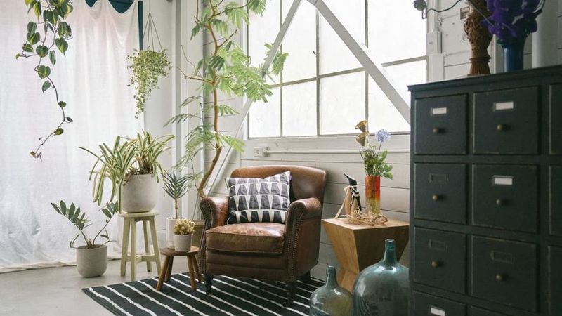 ハイランドスタジオ - ハイランドスタジオ