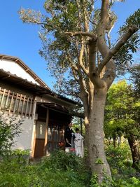 古民家の大玄関は旅館のような佇まい。当時のままを生かし、外せない撮影ポイントです。 - 鎌倉古民家スタジオ 縁樹庵 竹林・庭つき古民家撮影ハウススタジオの入口の写真