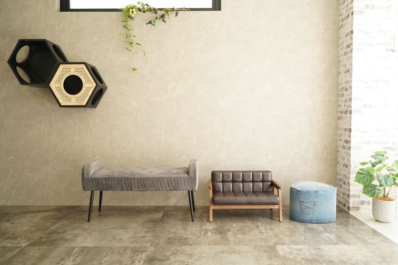 ペット商材撮影に特化したレンタルスタジオ - ペットOK！スタイリッシュな撮影スタジオ