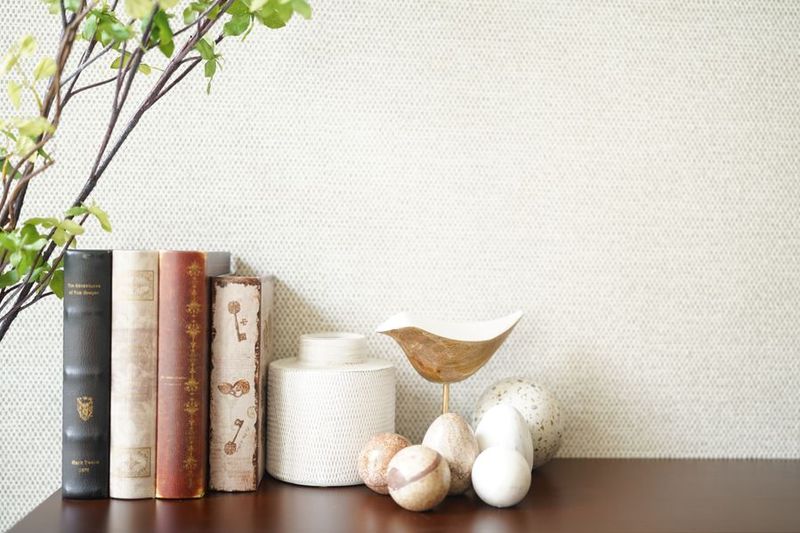 ペット商材撮影に特化したレンタルスタジオ - ペットOK！スタイリッシュな撮影スタジオ