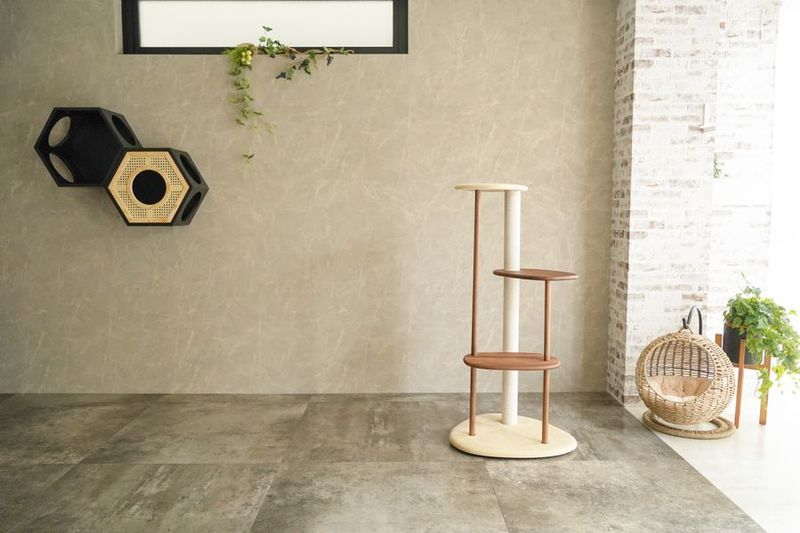 ペット商材撮影に特化したレンタルスタジオ - ペットOK！スタイリッシュな撮影スタジオ