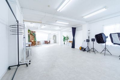 都内の白ホリ自然光 撮影スタジオ 白壁×アーチ×植物×ブランコ｜感情を引き出す光のスタジオの室内の写真