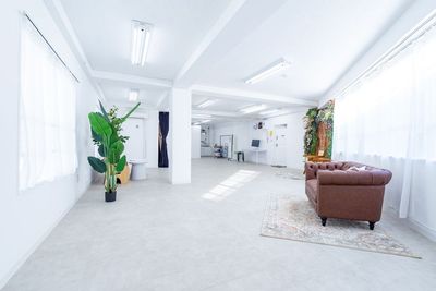 都内の白ホリ自然光 撮影スタジオ 白壁×アーチ×植物×ブランコ｜感情を引き出す光のスタジオの室内の写真