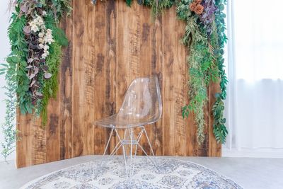 都内の白ホリ自然光 撮影スタジオ 白壁×アーチ×植物×ブランコ｜感情を引き出す光のスタジオの設備の写真