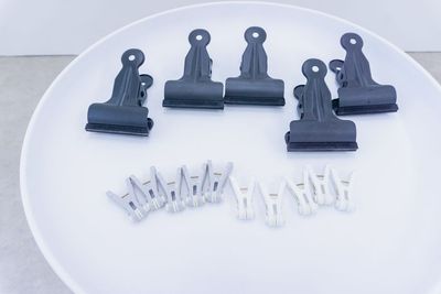 都内の白ホリ自然光 撮影スタジオ 白壁×アーチ×植物×ブランコ｜感情を引き出す光のスタジオの設備の写真