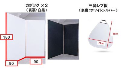 都内の白ホリ自然光 撮影スタジオ 白壁×アーチ×植物×ブランコ｜感情を引き出す光のスタジオの設備の写真