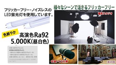 都内の白ホリ自然光 撮影スタジオ 白壁×アーチ×植物×ブランコ｜感情を引き出す光のスタジオの設備の写真