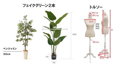 都内の白ホリ自然光 撮影スタジオ 白壁×アーチ×植物×ブランコ｜感情を引き出す光のスタジオの設備の写真