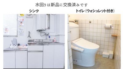 都内の白ホリ自然光 撮影スタジオ 白壁×アーチ×植物×ブランコ｜感情を引き出す光のスタジオの設備の写真