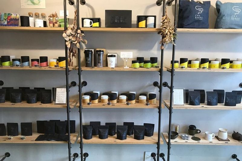 CHABAKKATEAPARKS - CHABAKKATEAPARKS