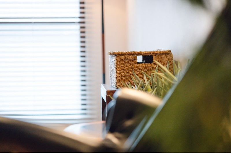 北欧家具と観葉植物を揃えた完全個室で落ち着いた空間。 - 骨美整salon