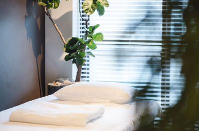 三ツ星ホテルでも使用されている高級ベッドを施術ベッドとして完備 - 骨美整salon 北欧家具と観葉植物を揃えた完全個室で落ち着いた空間。の室内の写真