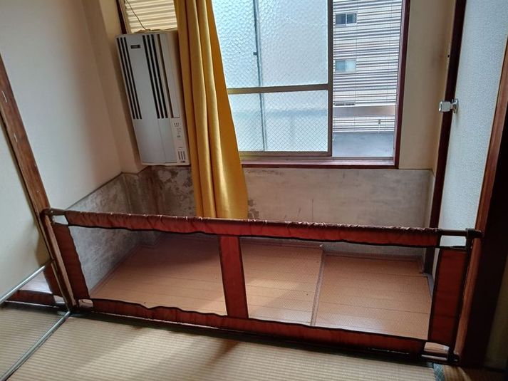 カラードリー厶3B - カラードリー厶