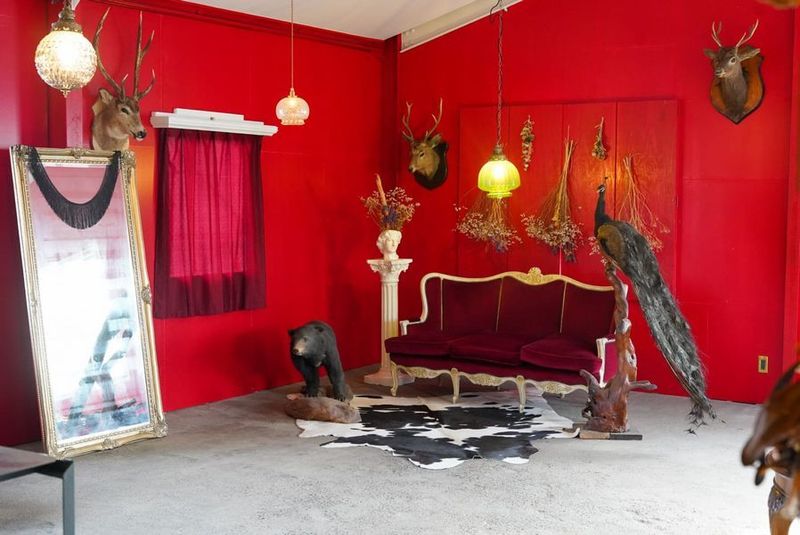 貸しフォトスタジオ（6名様まで。※乳幼児含む） - 6丁目の鹿寫眞舘