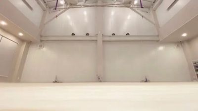 各種ダンスの練習に使用可能なレンタルスタジオ★ポールダンス・エアリアル設備併設 - Dance Space cEL