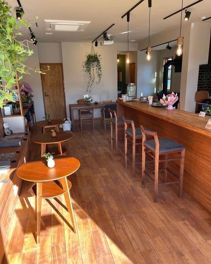 necotto cafe - necotto labo.（ネコットラボ）
