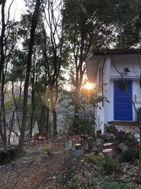 THE GREEN LIFE フォトジェニックでルーズな山小屋の入口の写真