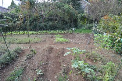 畑 - 里山小屋 （クラインガルテン）の室内の写真